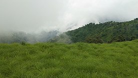 eco tourism uttarakhand, jusgar resort kotdwar, uttarakhand eco tourism, adventure tourism in himalayas, best adventure experiences, most adventurous activities, the most adventurous things to do, top 10 adventure activities, resort near kotdwara, top adventure, top adventure activities, top adventurous things to do, habitat in the jungle