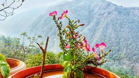 eco tourism uttarakhand, jusgar resort kotdwar, uttarakhand eco tourism, adventure tourism in himalayas, best adventure experiences, most adventurous activities, the most adventurous things to do, top 10 adventure activities, resort near kotdwara, top adventure, top adventure activities, top adventurous things to do, habitat in the jungle