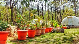 eco tourism uttarakhand, jusgar resort kotdwar, uttarakhand eco tourism, adventure tourism in himalayas, best adventure experiences, most adventurous activities, the most adventurous things to do, top 10 adventure activities, resort near kotdwara, top adventure, top adventure activities, top adventurous things to do, habitat in the jungle