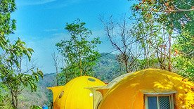 eco tourism uttarakhand, jusgar resort kotdwar, uttarakhand eco tourism, adventure tourism in himalayas, best adventure experiences, most adventurous activities, the most adventurous things to do, top 10 adventure activities, resort near kotdwara, top adventure, top adventure activities, top adventurous things to do, habitat in the jungle