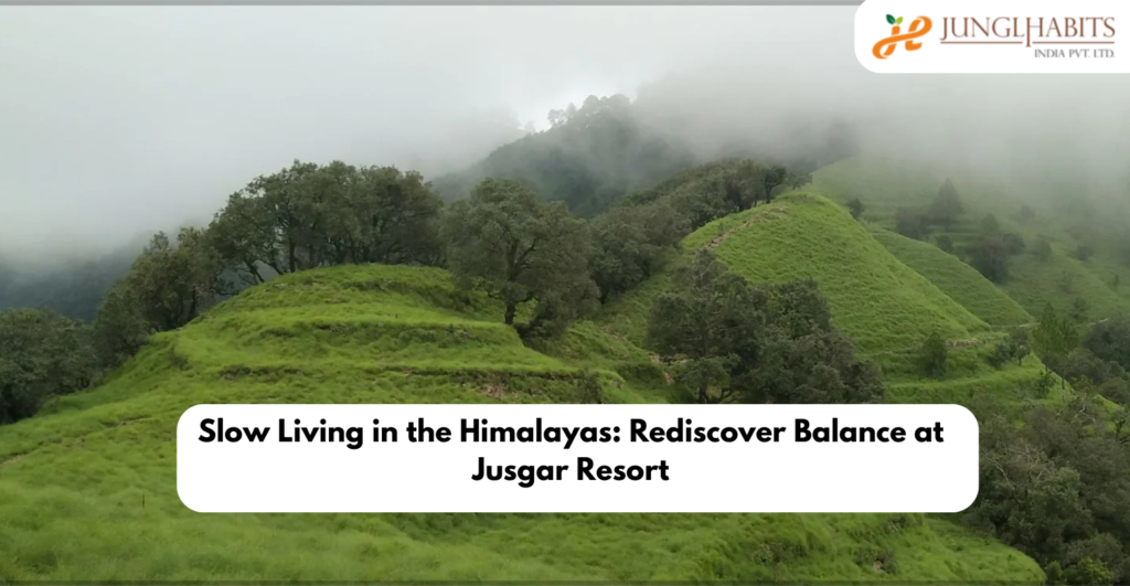 tourism in uttarakhand, river rafting in uttarakhand, uttarakhand tour packages, kotdwar tourism, uttarakhand tour, uttarakhand for tourism, uttarakhand tour and travels, travelling in uttarakhand, about uttarakhand tourism, uttarakhand tourism website, package for uttarakhand, adventure tour in uttarakhand, department of tourism uttarakhand, government of uttarakhand tourism, haridwar tourist, haridwar uttarakhand tourism, holiday packages for uttarakhand, tour for uttarakhand, tourism department of uttarakhand, tours and travels for uttarakhand